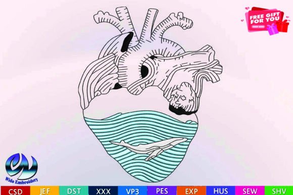 Heart Anatomy Dolphin Design Review